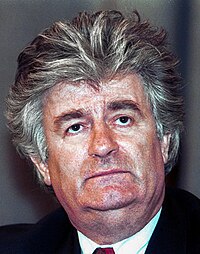 Radovan Karadzic, wartime President of Republika Srpska, resigned in 1996 amid international pressure Evstafiev-Radovan Karadzic 3MAR94.jpg