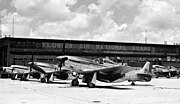 F-51Ds Florida ANG at Jacksonville c1947