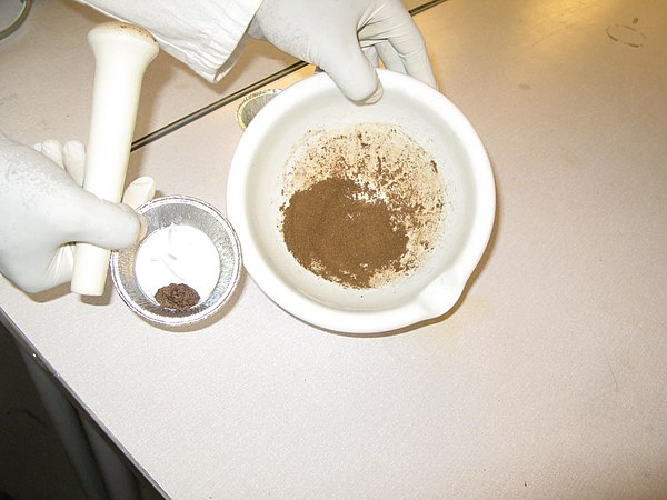 Feces after drying in an experiment to determine moisture content