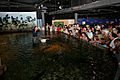 Fütterungszeit melb aquarium.jpg