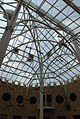 Fernbank Museum - Atlanta - Flickr - hyku (5).jpg