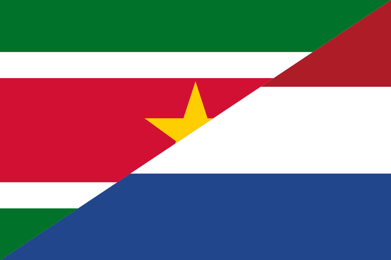Download Archivo:Flag of Dutch language (SR-NL).svg - Wikipedia, la ...