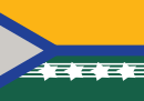 Vlag van Pimenta Bueno