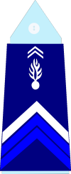 France (Gendarmerie) OR-4.svg