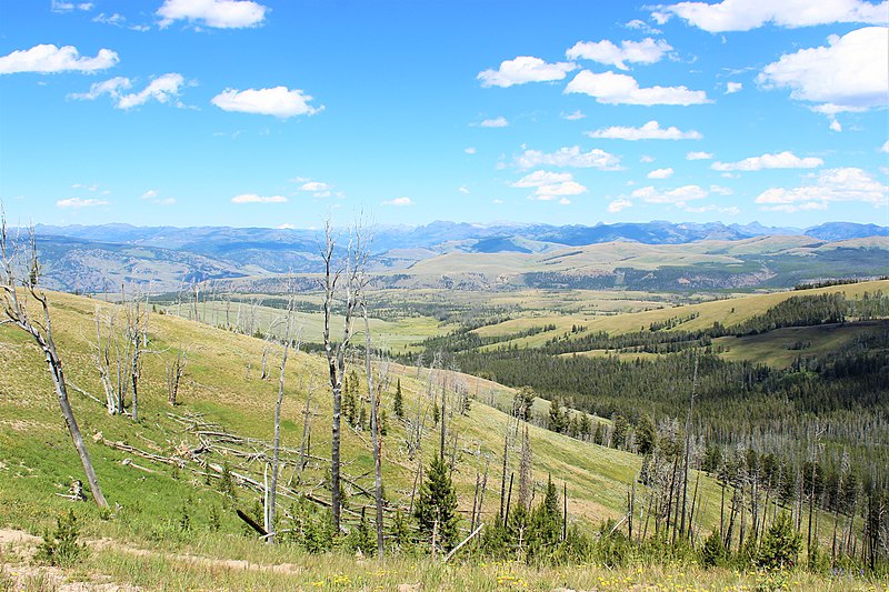 Fitxategi:From Chittenden Road, Mt. Washburn, Yellowstone NP - panoramio - Aaron Zhu.jpg