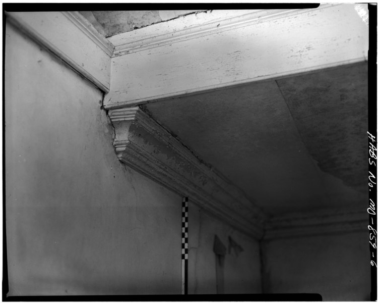 File:GROUND FLOOR, STAIR HALL, PLASTER CORNICE - Rose Hill, East New Market, Dorchester County, MD HABS MD,10-NEMA,1-6.tif