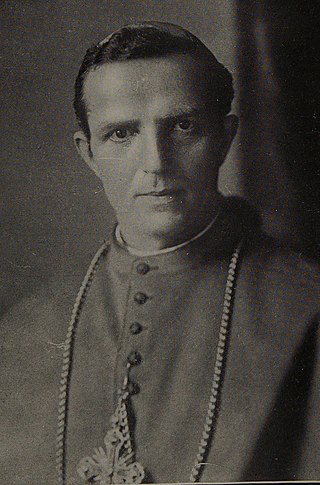 <span class="mw-page-title-main">Giovanni Bonzano</span> Catholic cardinal