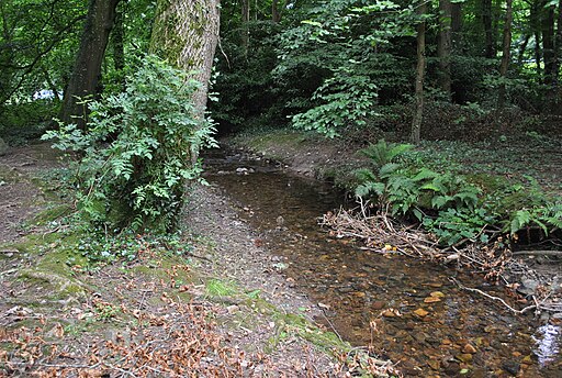 Glen Of The Downs