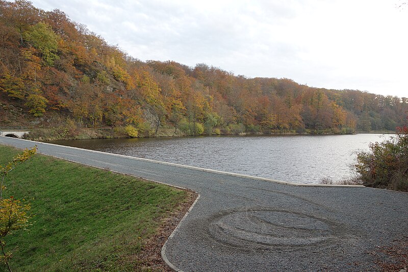 File:GroßerSiebersteinsteich (reservoir).jpg