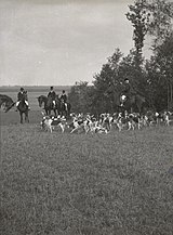 Vít Grus (1861-1945): Parforsní hon Pardubice (Rakousko-Uhersko)