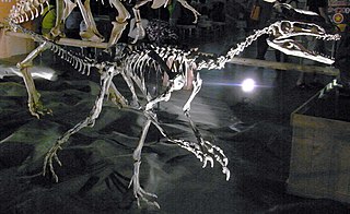 <i>Guanlong</i>