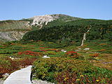 白山国立公園（白山）