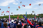 Thumbnail for Hamamatsu Kite Festival