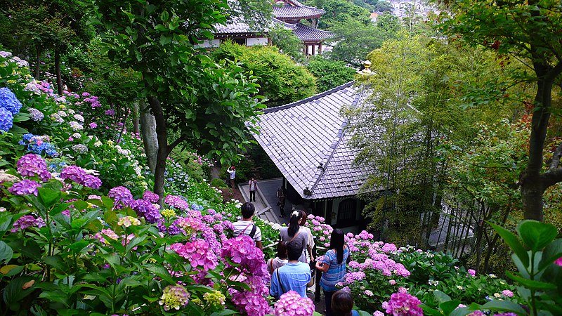 File:Hase-dera Temple in June - panoramio.jpg