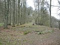 image=https://commons.wikimedia.org/wiki/File:Heiligenberg_-_Ars_Natura_-_Der_Spiralweg_2021-03-26.JPG