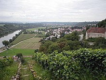 Blick auf Heinsheim am Neckar mit Burg Ehrenberg