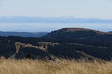 The Herzogenhorn seen from the Feldberg with the Alps behind