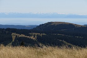 Herzogenhorn de Feldberg.JPG