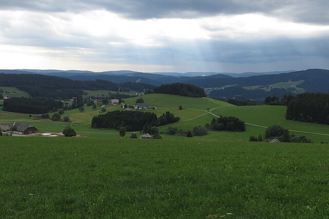Woods and pastures of the High Black Forest near Breitnau