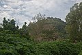 Hill in the north-east part of Jos, Nigeria (02).jpg