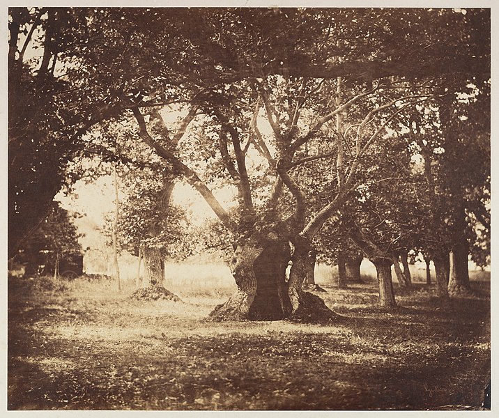 gustave le gray - image 5