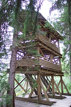 Lookout tower on the edge of the moor