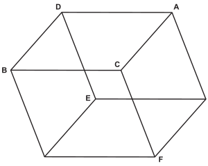 Figure 19 : Cristal de spath d’Islande.