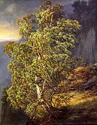Birch Tree in a Storm (1849)