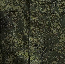 EMR camouflage on the battle uniform ISSE2014-48 (cropped).jpg