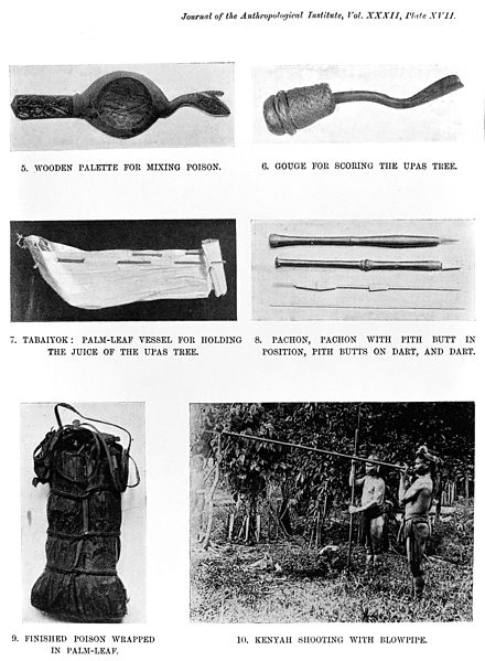 File:Images related to Kenyan dart-poison Wellcome M0008704.jpg