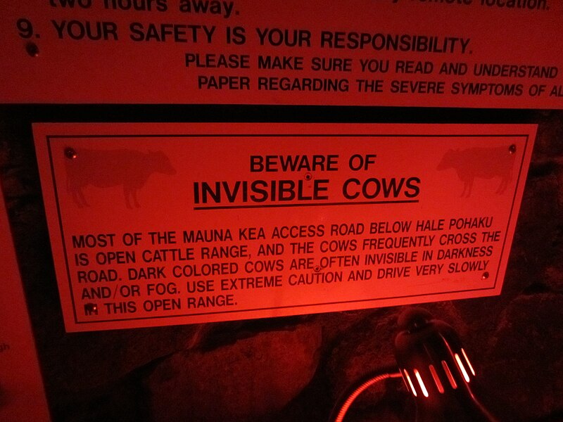 File:Invisible Cows! (24594759425).jpg