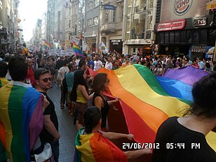 Diritti Lgbt In Turchia: Storia della cultura LGBT turca, Leggi turche, Opinione pubblica