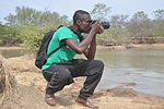 צלם מצלם פילים בגאנה