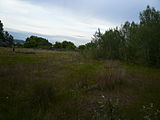 Català: Jonqueres de la rerapineda de Gavà IV (Baix Llobregat) (Gavà). Aiguamolls i criptoaiguamolls. This is a a photo of a wetland in Catalonia, Spain, with id: IZHC-08001116 Object location 41° 16′ 26.4″ N, 2° 00′ 03.96″ E  View all coordinates using: OpenStreetMap