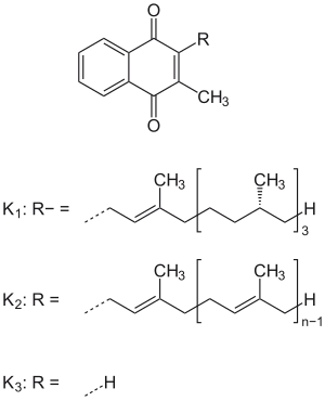 Vitamin K: Geschichte, Vertreter, Resorption und Stoffwechsel