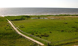 Kabli Nature Reserve Protected area in Estonia