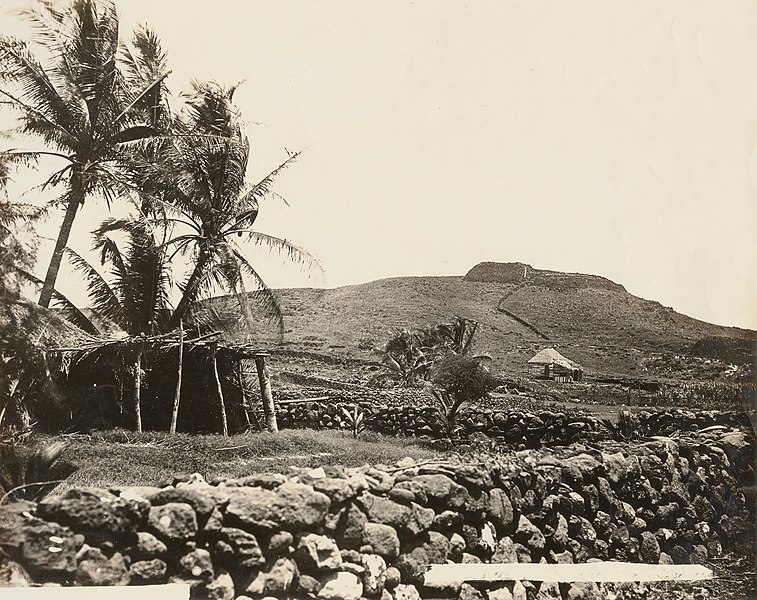 File:Kawaihae grass house, 1889 (PPWD-8-2-004).jpg