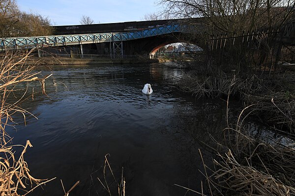 Kennet Mouth with bridge of the Great Western Railway by Brunel, Reading Kennet is navigable from the junction with the Thames at Kennet Mouth near Re