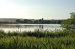 Kilconquhar Loch - geograph.org.uk - 185896.jpg