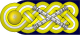 Deutsche Marine epaulette Grossadmiral.svg