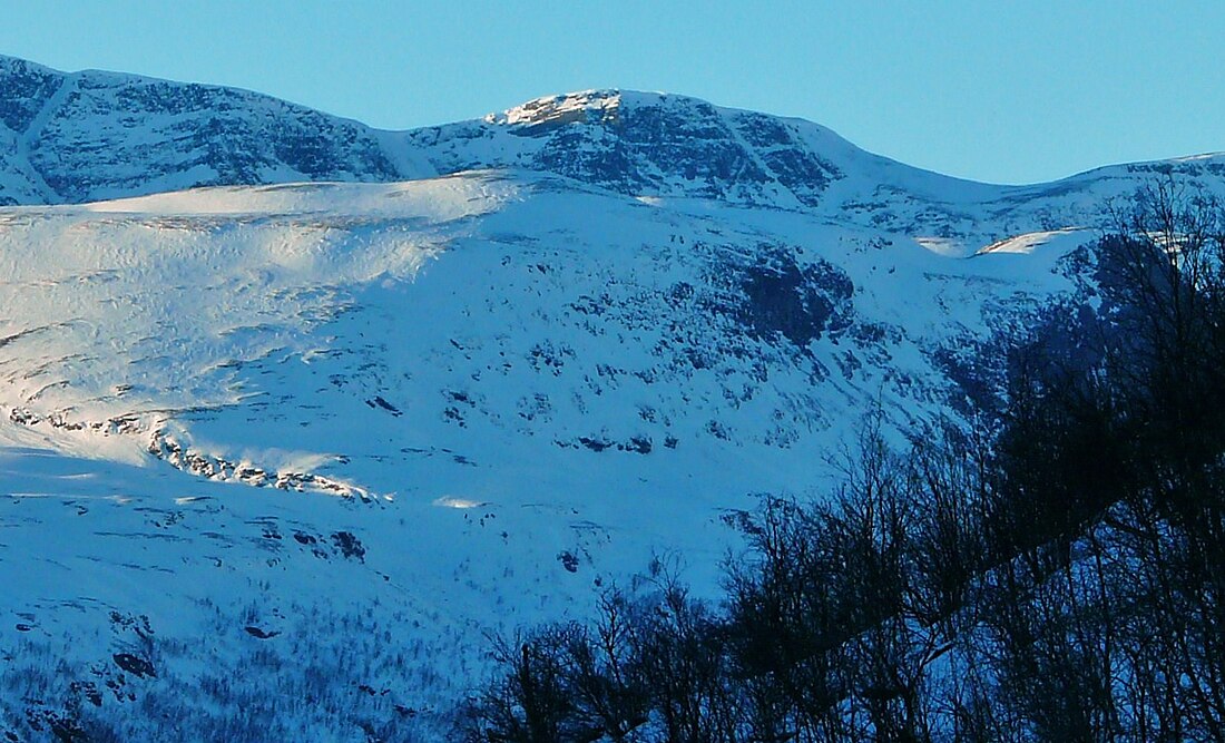 Kvitlifjellet