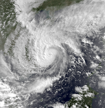 Typhoon Kyle (1993)