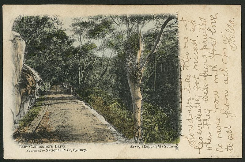 File:Lady Carrington Drive, National Park, 1907 (8286875586).jpg