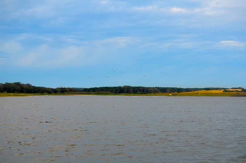 File:Laguna de Rocha 2.jpg