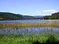 Miniatura para Laguna Quiñenco