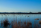 Lake Aftnas in Siwa.jpg