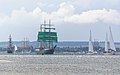 English: Participants of Tall Ships’ Race 2019 at Langerak, the eastern part of Limfjord, near Hals.