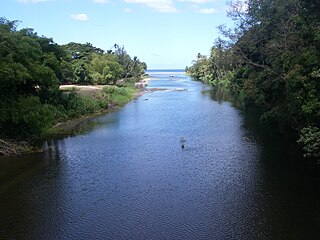 Layou River river in Dominica