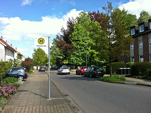 Lichtenbuscher Weg - panoramio