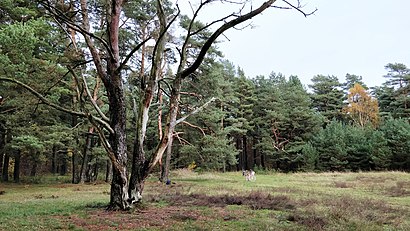 Vägbeskrivningar till Lilla Köpinge naturreservat med kollektivtrafik